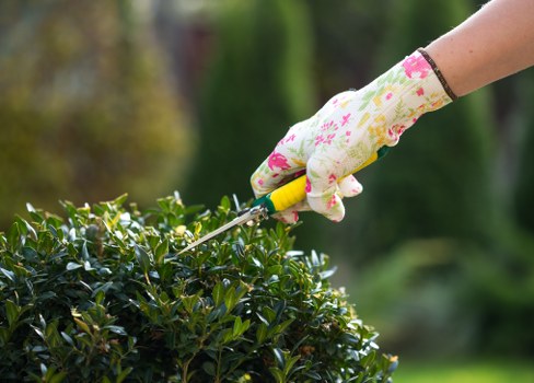 Gardeners Ponders End team introducing local garden care services