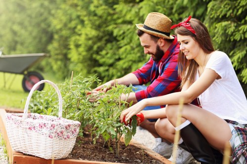 Gardeners Ponders End maintaining a healthy local garden