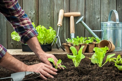 Professional lawn care tasks for a Ponders End property