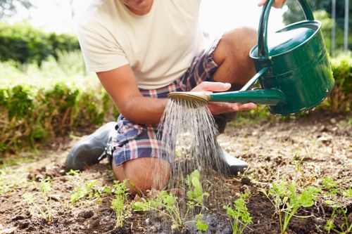 Professional landscaping in Ponders End improving a residential outdoor space