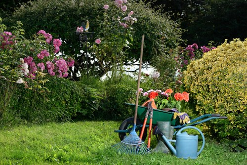 Garden clearance work in Ponders End with overgrown plants being removed