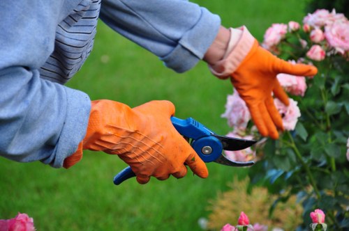 Seasonal hedge trimming work in Ponders End