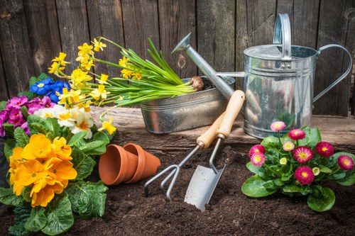 Seasonal garden maintenance and tidy outdoor space in Ponders End