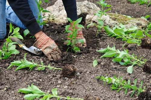 Governing law and final terms for garden services
