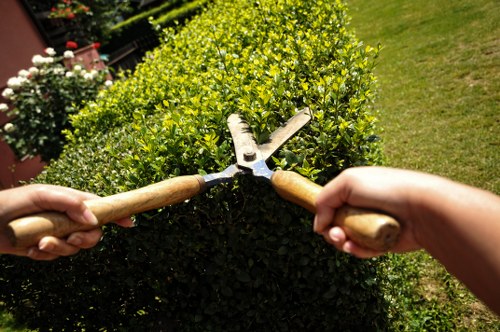 Gardening services in Ponders End for neat residential outdoor spaces