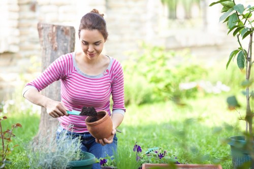 Local gardener providing hedge trimming and lawn care in Ponders End