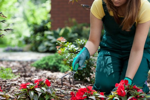 Seasonal garden maintenance and planting in Ponders End