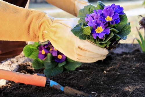 Landscaping and garden clearance work in Ponders End