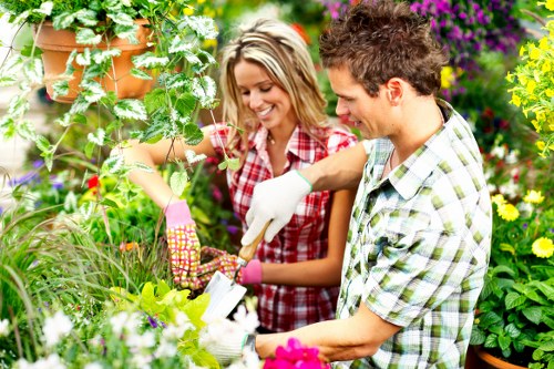 Improving grass health with lawn care in Ponders End