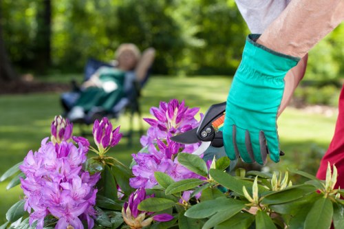 Low-maintenance landscaping ideas for Ponders End properties