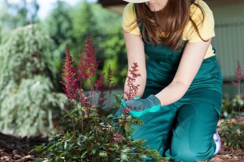 Professional patio washing in Ponders End garden area