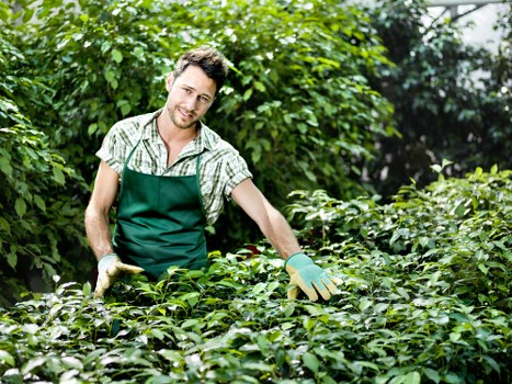 Clearing green waste and garden debris from a property in Ponders End