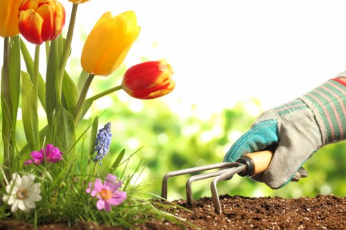 Screen-reader friendly content for local gardening services