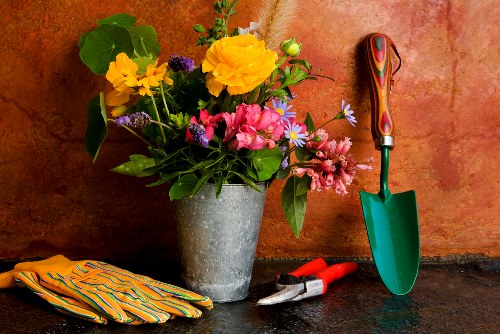 Professional garden care in Ponders End with seasonal maintenance focus