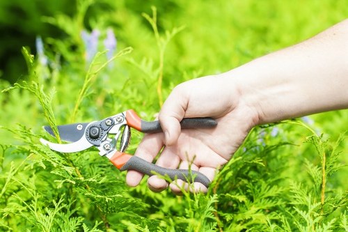 Zero-tolerance ethical policy for gardening services