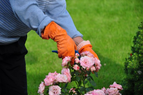 Urban tree care and branch removal in Ponders End