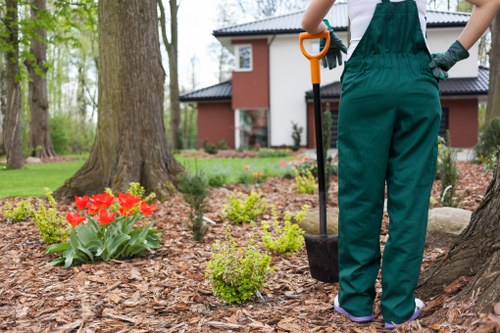 Seasonal mowing and edging for lawns in Ponders End