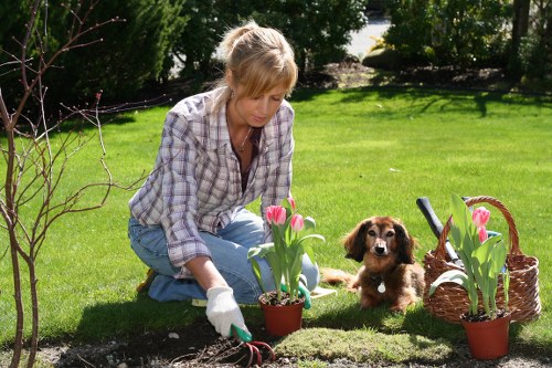 Seasonal garden care by Gardeners Ponders End in a residential garden