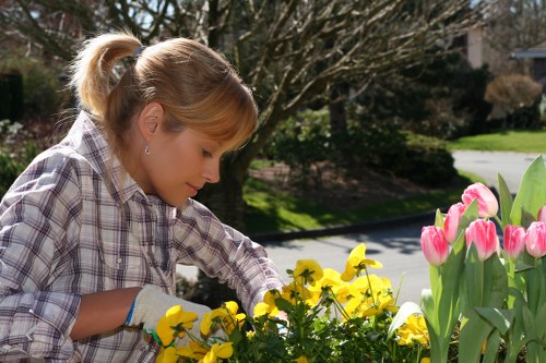 Waste disposal regulations for garden services